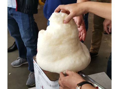 Thử nghiệm sản phẩm Sika